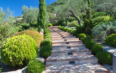 escalier allée jardin provençal